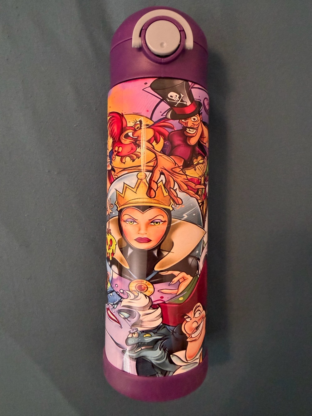 Kids' Villain Character Water Bottle - Purple Multicolor